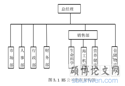 图 3.1 HS 公司组织架构图