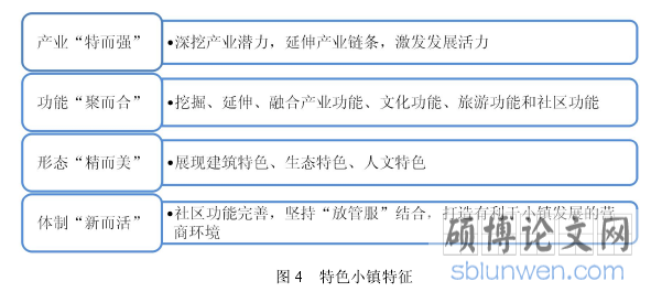 图 4 特色小镇特征
