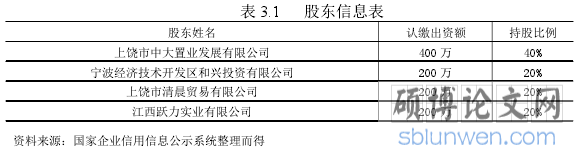 表 3.1 股东信息表