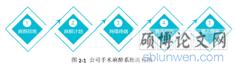 图 2‐1 公司手术麻醉系统流程图
