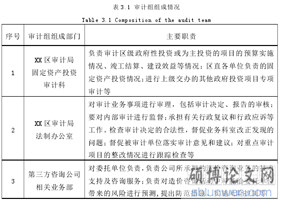 表 3.1 审计组组成情况