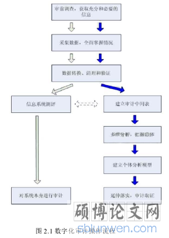 图 2.1 数字化审计操作流程