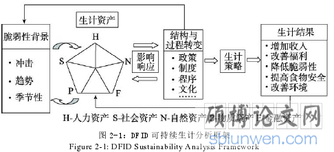 图 2-1:DFID 可持续生计分析框架