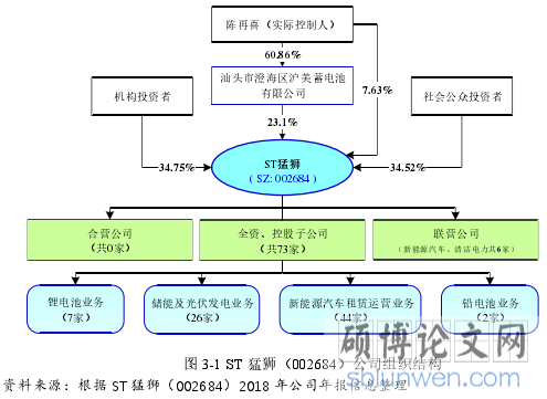 图 3-1 ST 猛狮(002684)公司组织结构