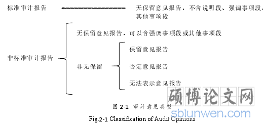 图 2-1 审计意见类型