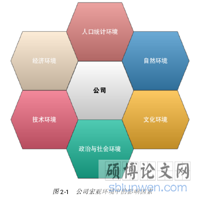 图 2-1 公司宏观环境中的影响因素