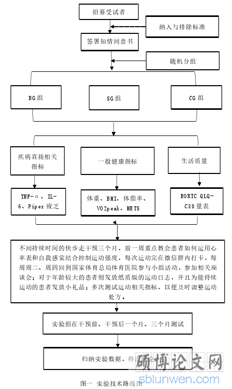图一 实验技术路线图