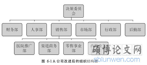 图 6-1 A 公司改进后的组织结构图