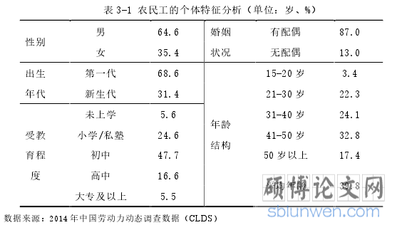 表 3-1 农民工的个体特征分析(单位:岁、%)