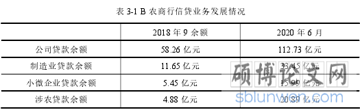 表 3-1 B 农商行信贷业务发展情况