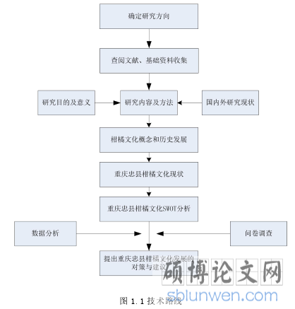 图 1.1 技术路线