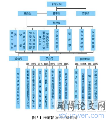 图 5.1 淮河能源组织机构图