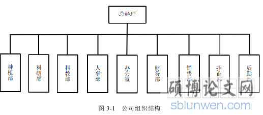 图 3-1 公司组织结构