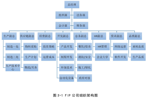 图 3-1 FIP 公司组织架构图