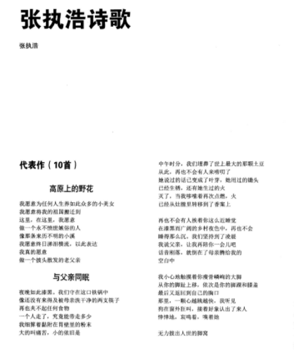 张执浩诗歌论