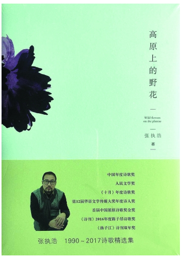 张执浩诗歌论