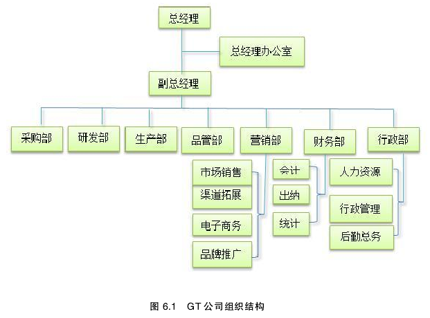 图 6.1 GT 公司组织结构