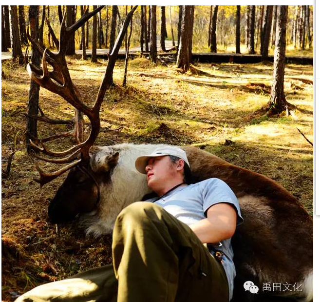 格日勒其木格·黑鹤小说中的生态意识研究