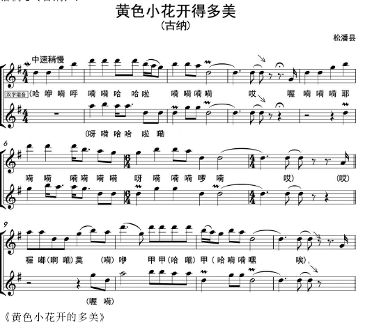 《黄色小花开的多美》