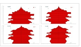 2020、2030、2040和2050年河南省人口金字塔图
