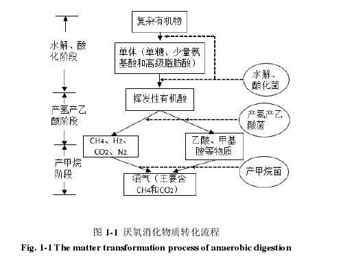 图 1-1 厌氧消化物质转化流程