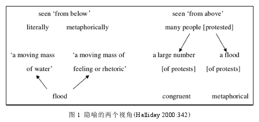 图 1 隐喻的两个视角(Halliday 2000:342)