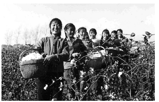 新时期知青文学“外来者”叙事研究