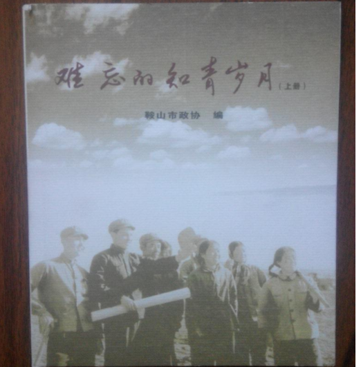 新时期知青文学“外来者”叙事研究