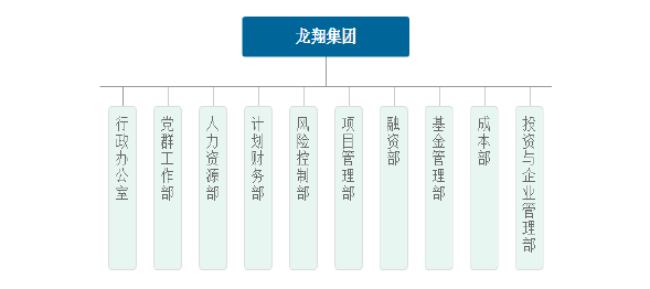 图 2-1 吉林省 L 集团组织架构图