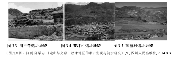 图 3.3 川主寺遗址地貌 图 3.4 苍坪村遗址地貌 图 3.5 东裕村遗址地貌