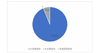 图 2-1 A 公司股本结构