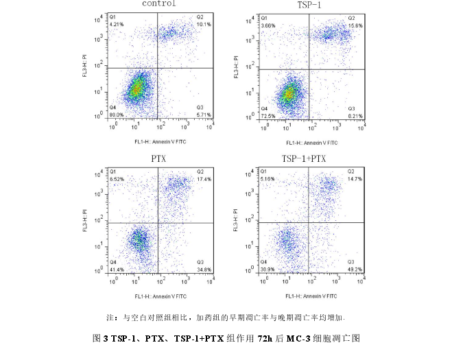 图 3 TSP-1、PTX、TSP-1+PTX 组作用 72h 后 MC-3 细胞凋亡图