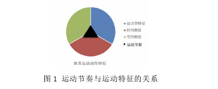 图 1 运动节奏与运动特征的关系