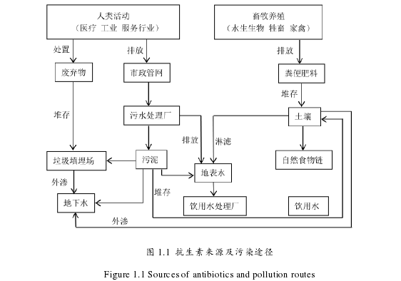 图 1.1 抗生素来源及污染途径