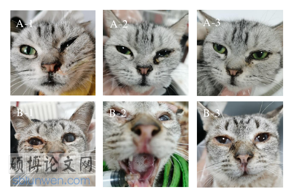 药学研究生论文参考