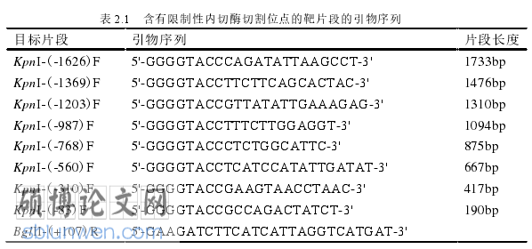 法医学论文参考
