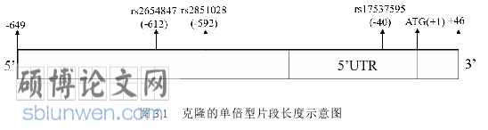 法医学论文怎么写