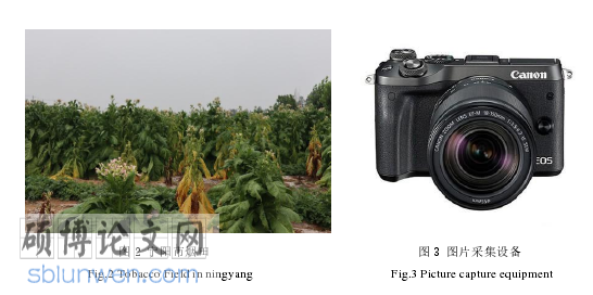农业论文参考