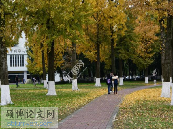 网络财务管理论文选题怎么写 网络财务管理论文选题怎么写