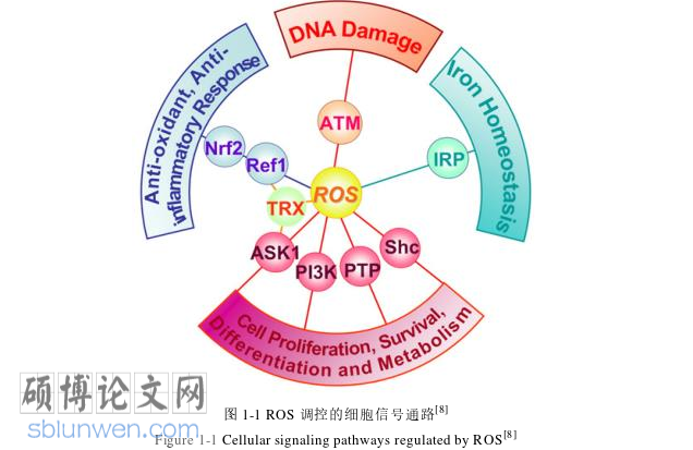 药学论文怎么写