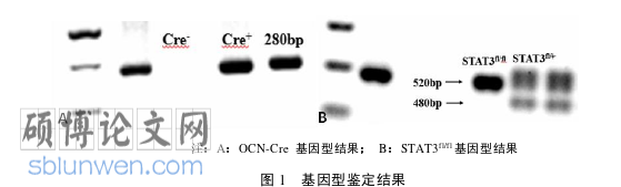 医学论文怎么写