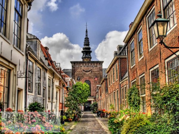 金融监管论文题目怎么写