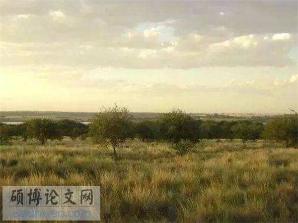 金融市场论文题目范例