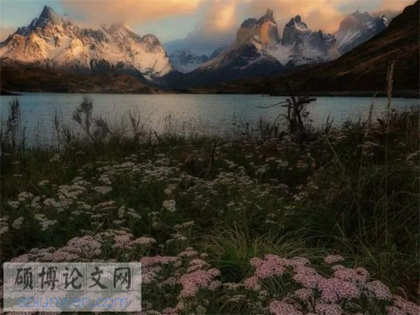 金融市场论文题目范例