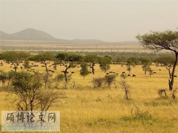 金融市场论文题目范例