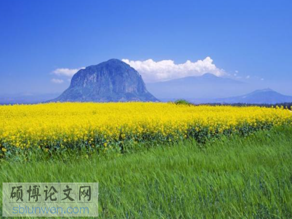工程管理信息化论文题目范例 工程管理信息化论文题目范例