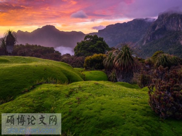 护理人员论文题目范例