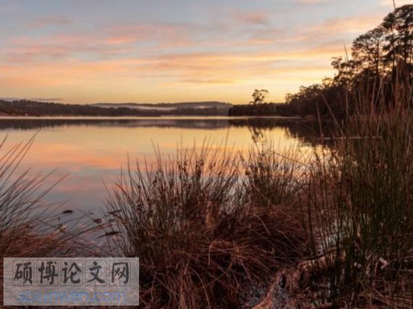 护理人员论文题目怎么写