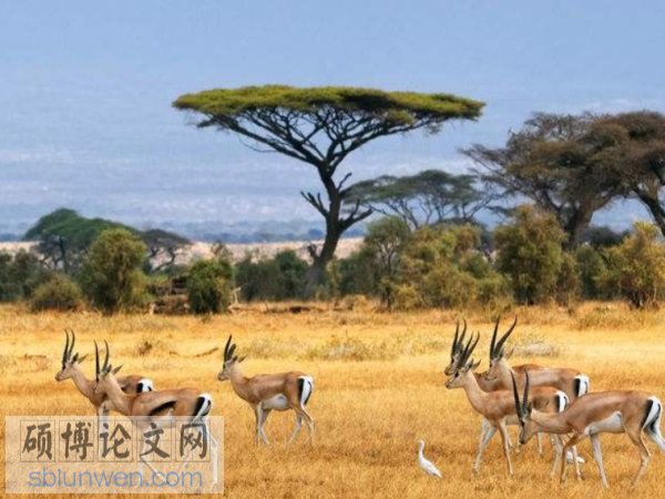 行政管理体制改革论文题目怎么写