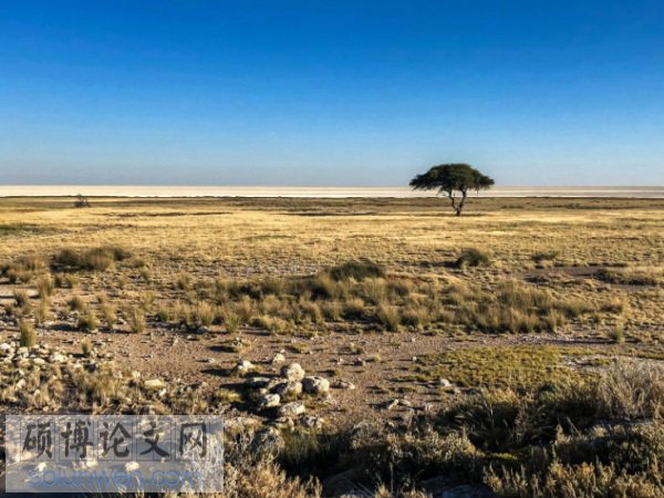 行政管理体制改革论文题目范例